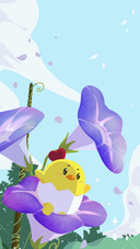 十二星座的花语