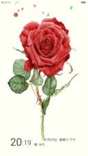 花开一季