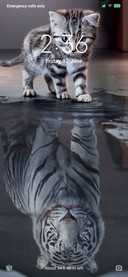 White Cat v11