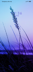 Viewpoint_DWM2