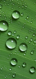 Eye protection wallpaper-PAIXIN