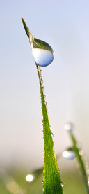 Eye protection wallpaper-PAIXIN