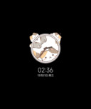 呆呆猫