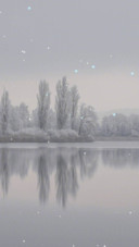 雪景