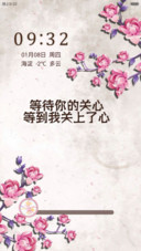 古风-水墨花(密码锁屏+全图标覆盖）V6