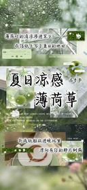 夏日凉感薄荷草手书