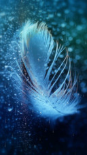 幻羽
