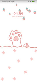 Cute cat paw