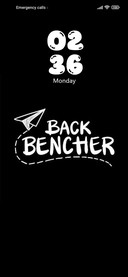 Back Bencher