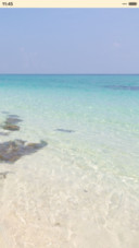 海岸