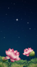 花好月圆
