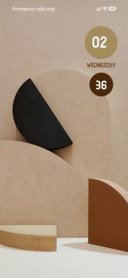 The Shapes
