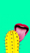 Strange Taste Collage