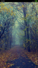  Silent road