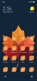 Red Maple