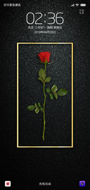一枝花