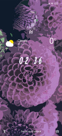 iOS Melli