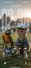 Referee Kitty