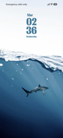 Shark