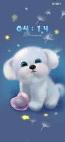 My teddy dog