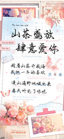 山茶盛放肆意爱你