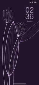 Minimal Leafs