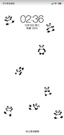 PANDA