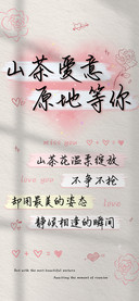 山茶爱意原地等待你