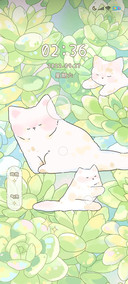 猫在多肉上小憩