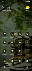 Small Bird