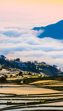 Beautiful Terraces