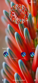 Plant Pex