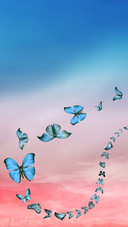 Blue cure-07
