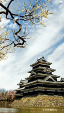 古风情（多动态、3d重力）