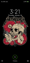 Metallica V10