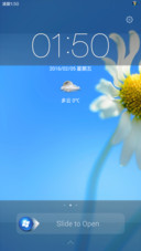 Vista