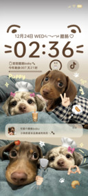 腊肠狗涂鸦多图