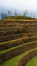 Beautiful Terraces