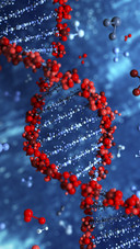 DNA Molecular Structure