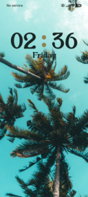 Palm Tree
