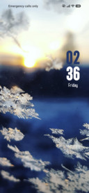 Snow Flakes