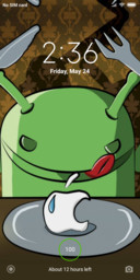 Android VS Apple_DWM19