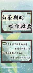 山茶期盼唯独肆意