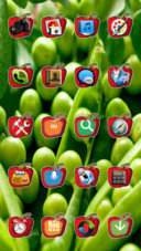  IN Vegetable