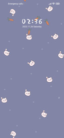 Rabbit And Radish