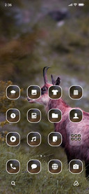Chamois_3MDS