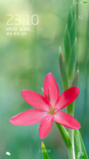 【好评送收费主题兑换码】粉色小花