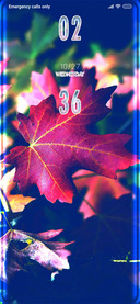 Maple Cour