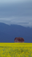 Scenery of a farm in Montana