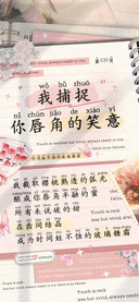 我捕捉你唇角的笑意